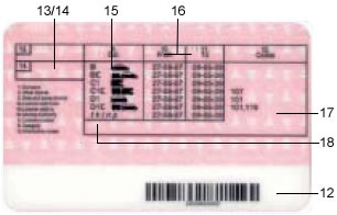 Driving Licence back